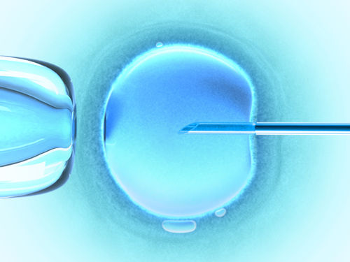 胚培養士 エンブリオロジスト を募集しています 求人情報 求人情報 産婦人科クリニックさくら